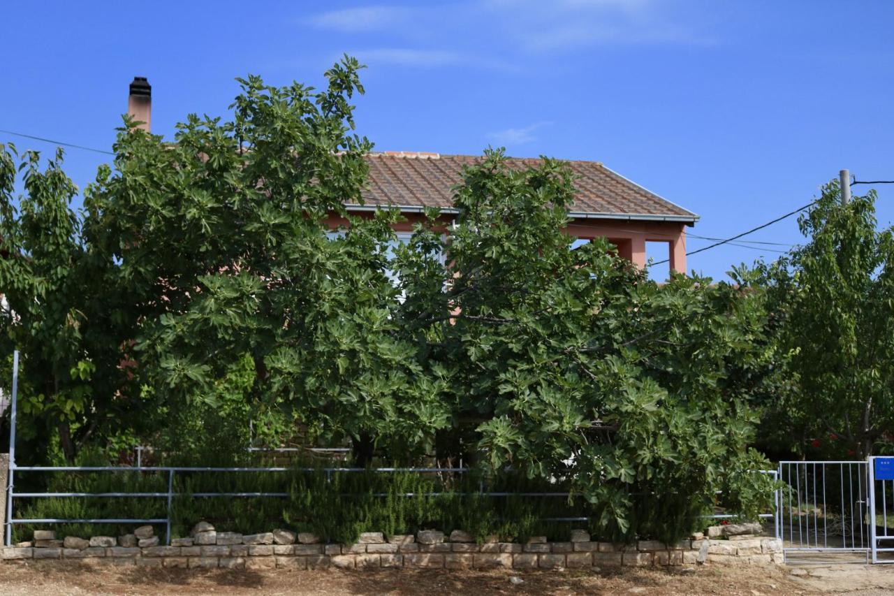Apartment Apartments By The Sea Gornji Karin, Novigrad - 11806